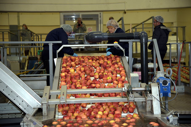 Платформа за агробизнис са Русијом